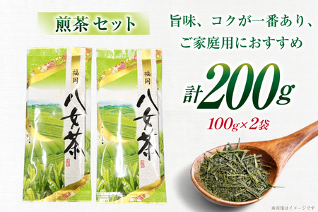 お茶 八女茶 煎茶 セット 100g 2袋 [木村食品 福岡県 筑紫野市 21761043]