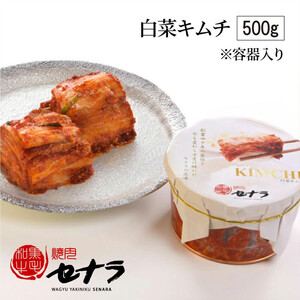 本格キムチ2点 詰め合わせセット　【11100-1606】