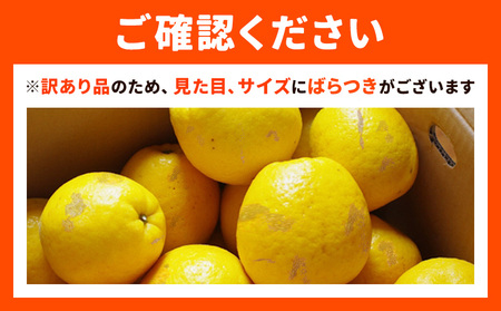 【2027年先行予約】訳あり ご家庭用 柑橘 天草晩柑 約4㎏ あまくさ晩柑 晩柑 ばんかん 天草 西海岸 苓北 都呂々 九州 熊本 果物 フルーツ 送料無料 都呂々みかん生産者グループ《2027年3月上旬-5月下旬頃出荷》