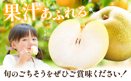 秀品 梨 幸水 約5kg 井岡農園 梨 なし