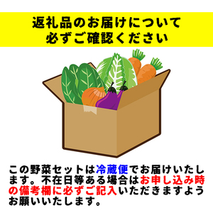 岩手県産 野菜セット 10品 ／ 野菜 やさい 詰め合わせ 詰合せ 詰合わせ 旬 新鮮 国産 季節 季節野菜 おまかせ 春野菜 夏野菜 秋野菜 山菜 葉野菜 葉物 根菜 果菜 冷蔵 冷蔵発送 家庭用 自宅用 仕送り 人気 おすすめ 岩手県 滝沢 滝沢市
