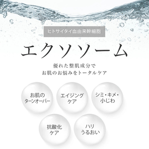 Make.iN EXOSOME + GLUTATHIONE 10Days フェイスマスク 10枚入×2個セット エクソソーム ヒト幹細胞 白玉 グルタチオン セラミド CICA EGF FGF パック マスク 保湿 スキンケア