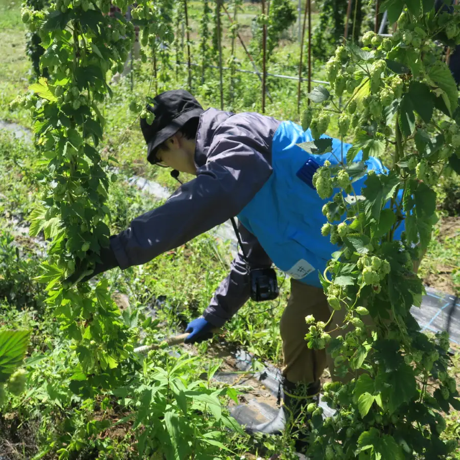 クラフトビール「人はそれを“ヴァイツェン”と呼ぶ。」350ml缶×6缶 北海道栗山町くりやまクラフト