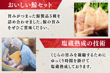 BJ154 美味しい 鯨 5種詰め合わせAセット 計520g( 大和煮 オバ ベーコンブロック 湯かけくじら さえずりブロック )[ 長崎県 島原市 ]