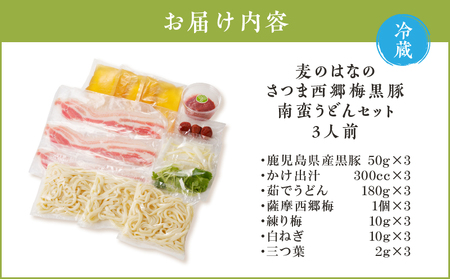 麦のはな の さつま西郷梅黒豚南蛮うどん セット K071-006