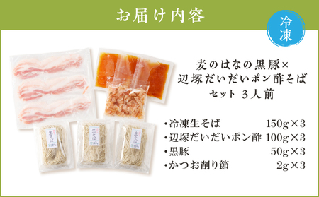 麦のはな の 黒豚 × 辺塚だいだいポン酢 そば セット【3人前】 K071-008 冷凍