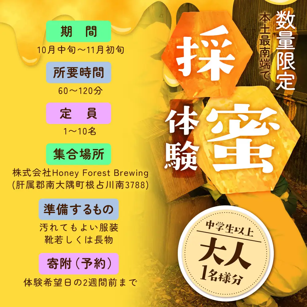 【期間限定】数量限定！『本土最南端で採蜜体験』大人1名（中学生以上） CC7001｜はちみつ 採蜜 体験 人気 養蜂 日本 みつばち 研究会 鹿児島県 南大隅町