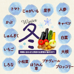 【厳選】 野菜セット 1回 野菜