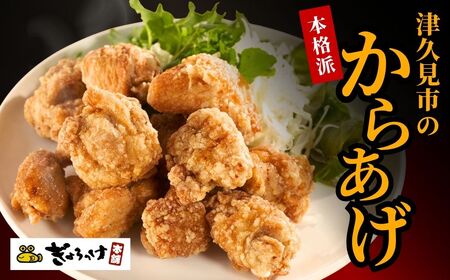 大分名物 からあげ 下味しょうゆ×10袋 | からあげ 津久見市 唐揚げ