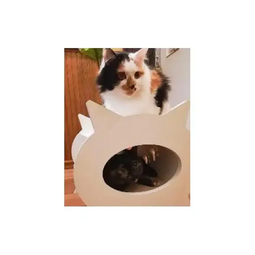 ネコハウス（猫型）