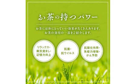 【3回定期便】宇治茶ペットボトル 500ml×24本 お茶ペットボトル