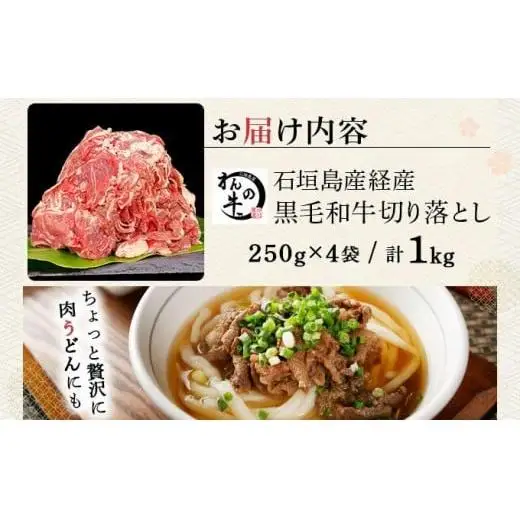 ＜わんの牛＞石垣島産経産黒毛和牛 切り落とし 250g×4袋 合計1kg NA-02