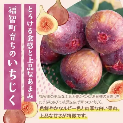 Y99-83 【2026年発送】 ★先行予約受付開始★ ふくふく果実定期便(隔月・年2回)  フルーツ