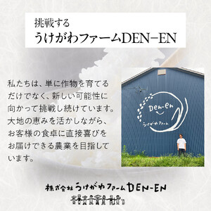 【先行予約】【定期便】特別栽培米ゆめぴりか精米6kg(3kg×2袋) 令和7年産 3ヶ月毎月発送(11月から発送開始予定) |  ゆめぴりか_05277
