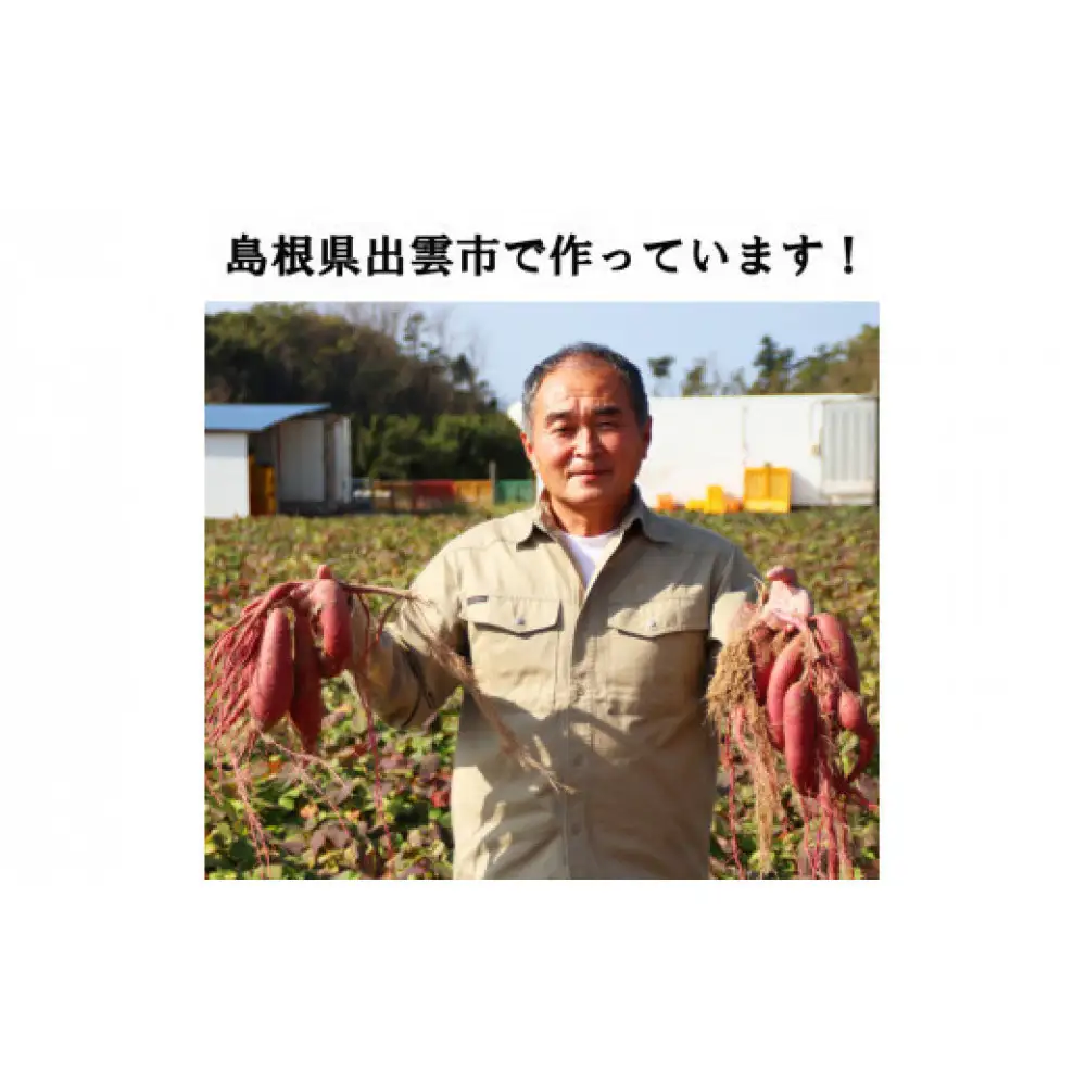 西浜いも（べにはるか）5kg