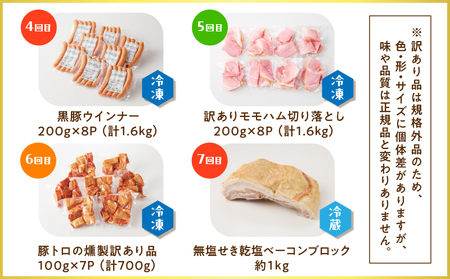 【 訳あり 】 【 全7回 】盛りだくさん 定期便（ 毎月お届け ） K161-T07m 肉 豚肉 冷凍