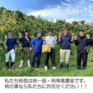 【柿専業の農家が作る】出雲産西条柿　2.5kg