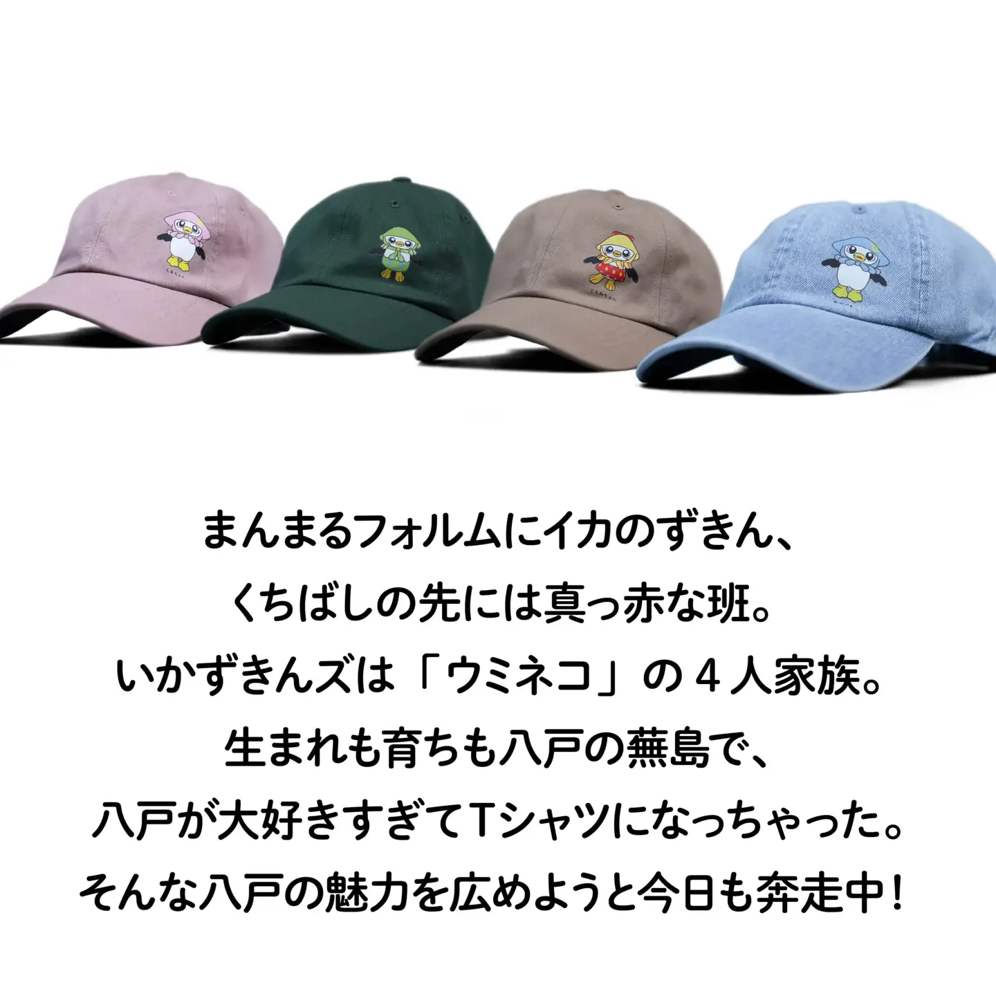 いかずきんズキャップ ファミリーセット 青森県 八戸市