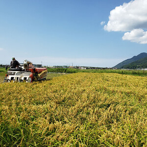 出雲からお届けする有機JAS認証　角餅各種詰合せ
