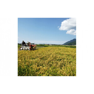 【冷凍】出雲からお届けする有機JAS認証　丸餅詰合せ「いずも美人」