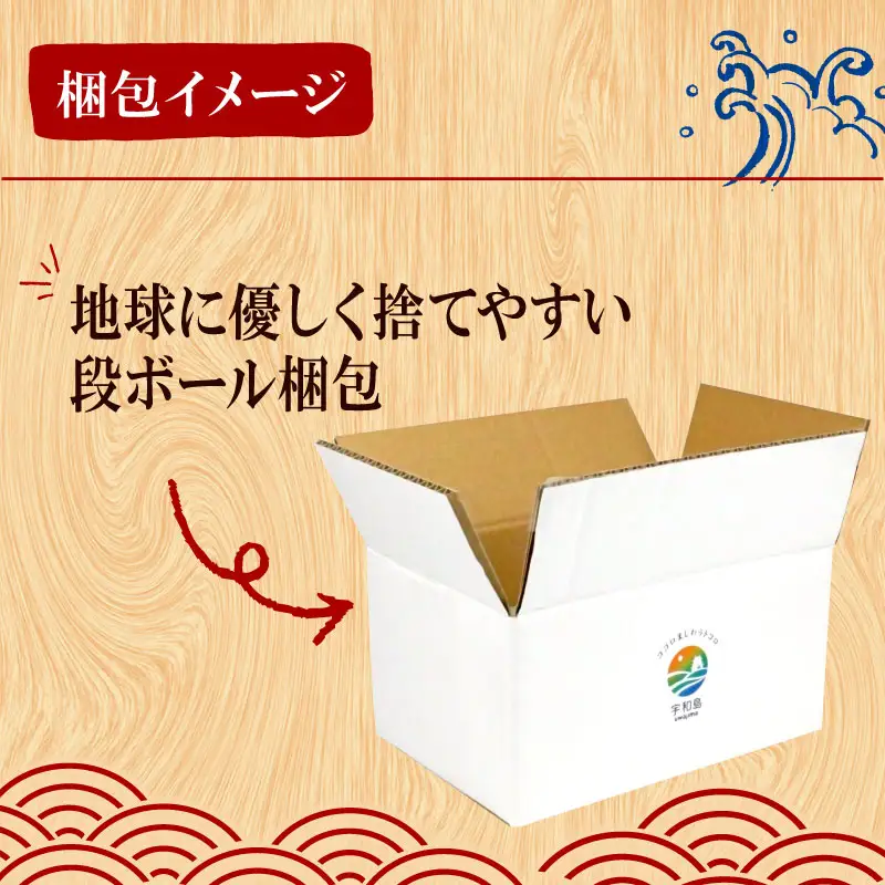 【漬け丼】漬け丼厳選活締め8食(アジ、イサキ等)南予ビージョイD014-150020