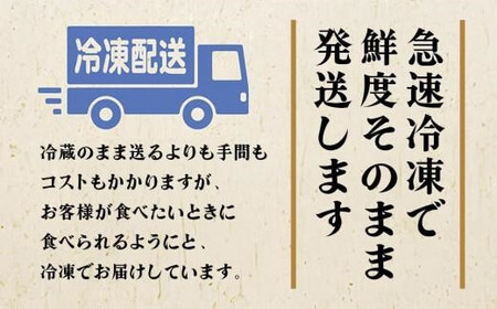 【訳あり】飛騨牛づくし定期便【2月・5月・8月・11月発送】 | 黒毛和牛 和牛 肉 牛肉 切落し 小分け 肉の匠家 BV106