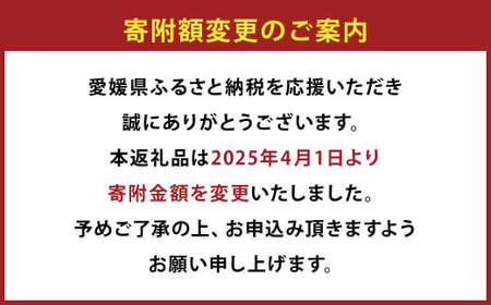 極上大吟醸酒Ｂセット 日本酒 愛媛県 (072-1)