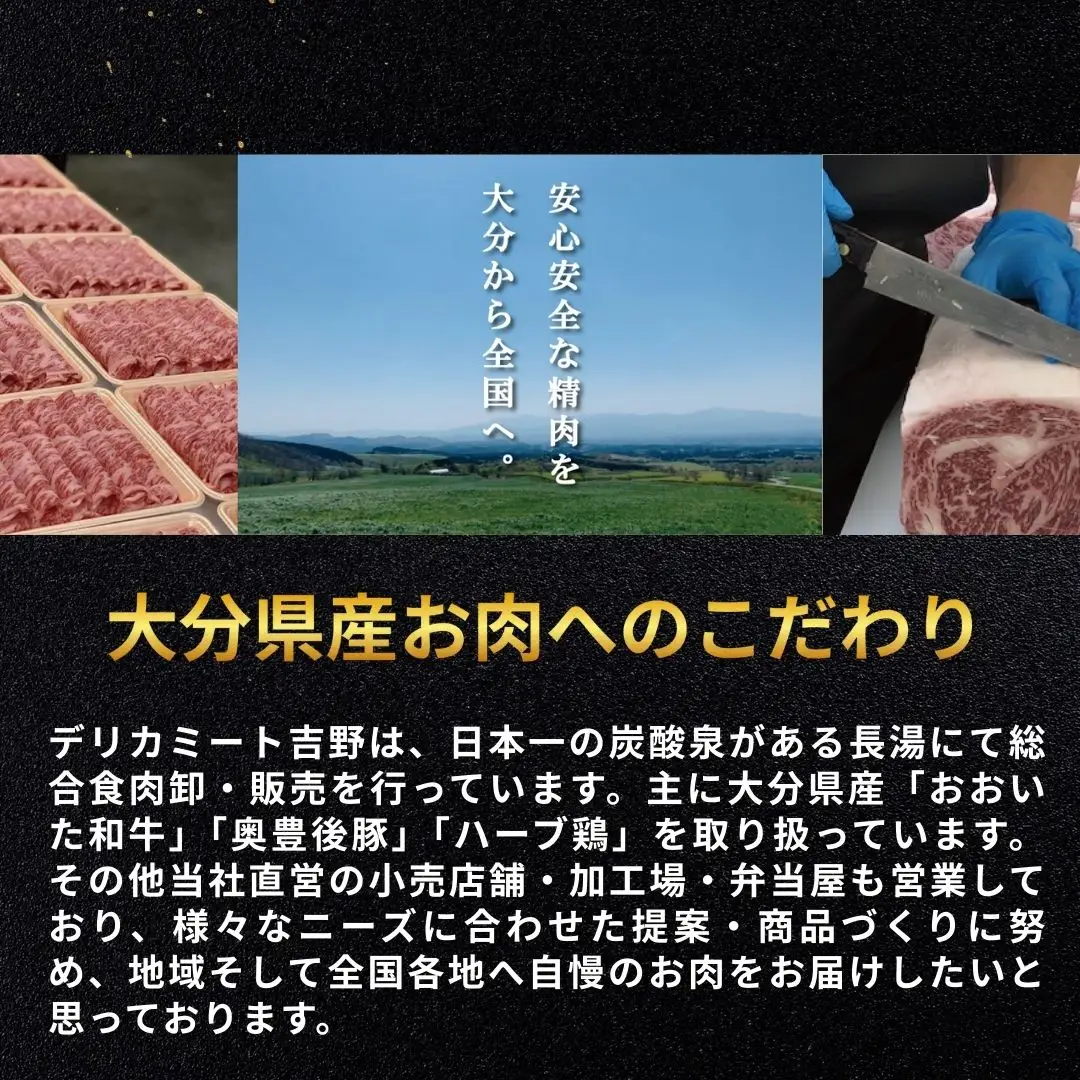 肉屋のまかない豊後牛レトルトカレー 230g×5袋 | 豊後高田市 レトルトカレー