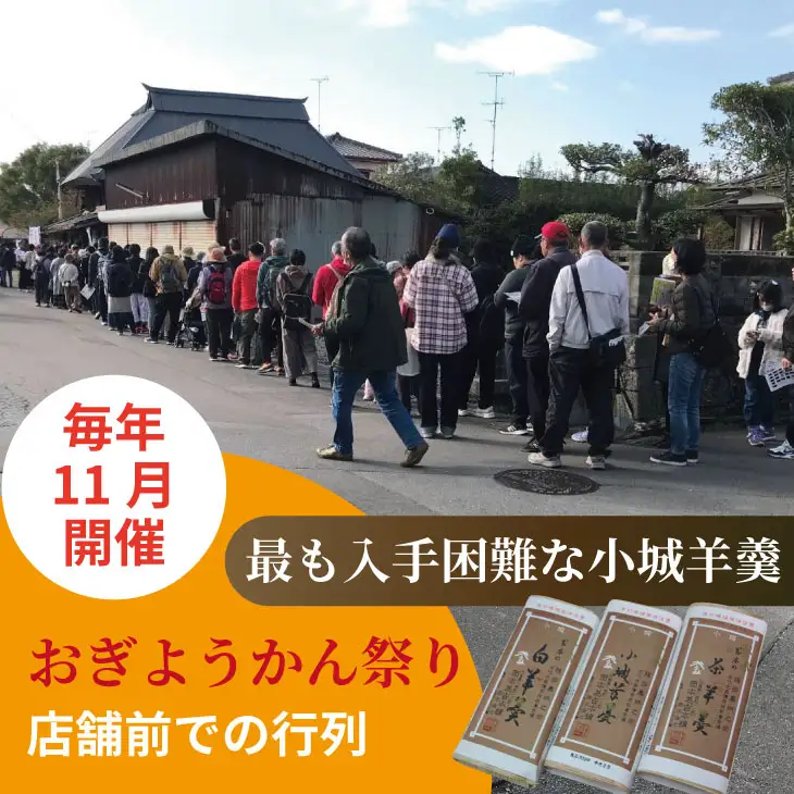 小城羊羹 5本入り 羊羹 和菓子 岡本為吉本舗 B180-013 