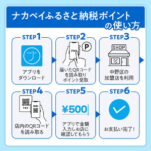  ナカペイふるさと納税ポイント 3,000円分 |旅行 旅行