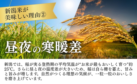 R7年産米【定期便】新潟産コシヒカリ5kg×3回