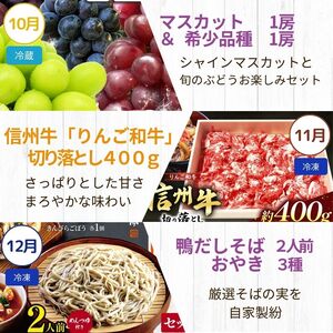 長野県 定期便 【 決定版 】塩尻うまいもの巡礼便（12回） 塩尻のぶどう そば 山賊焼 逸品