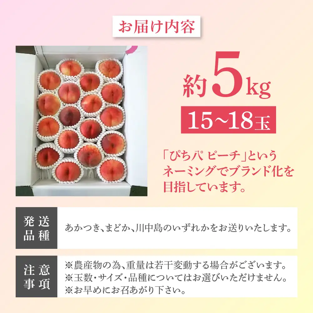 【2025年発送分残り僅か】桃 約5kg (15～18玉) 「ぴちパ　ピーチ」 桃 桃 桃 桃 桃