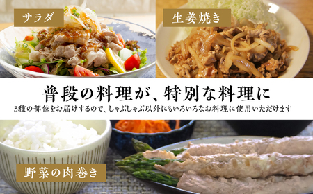 【定期便】国産 ブランド豚 食べ比べ定期便 6回 400g × 3 計 1.2kg