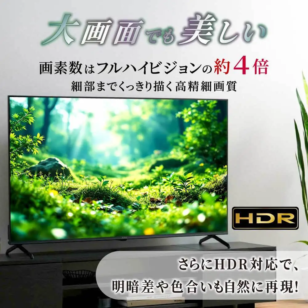 液晶テレビ 55V型 4Kスマート アイリスオーヤマ LT-55UGX-F1 ブラック ｜ テレビ 新生活 ひとり暮らし 合格祝い   