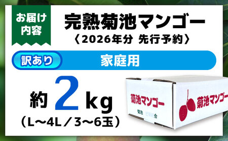 【2026年6月より発送】友枝マンゴー農園の完熟訳ありマンゴー約2kg AYDF002