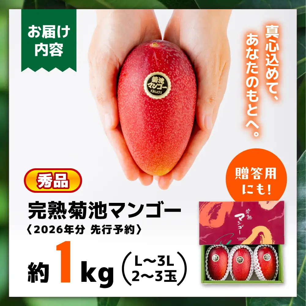 【ふるなびWEEK対象】【2026年6月より発送】秀品 菊池マンゴー 約1kg 友枝マンゴー農園[AYDF003]