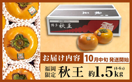 【先行予約】秋王柿約1.5kg(4-6玉) [BGAG015]種なし柿