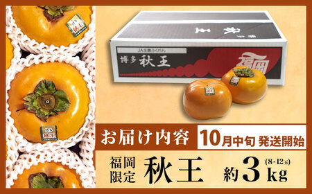 【先行予約】秋王柿約3kg(8-12玉) [BGAG016]種なし秋王柿