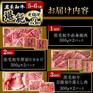 【定期便全3回】＜A4・A5等級＞黒毛和牛堪能〈お試し〉定期便（5～6人分）総重量1.8kg 鹿児島県産 黒毛和牛 和牛 肉 牛肉 国産 九州産 鹿児島県産 焼肉 焼き肉 BBQ ランキング 人気 A4 A5 赤身 切り落とし カルビ お楽しみ 食べ比べ 5人前 6人前 t0058-003