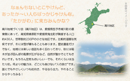 ＜ぼくらの穴神鍾乳洞発見物語（絵本）＞ 1冊 全30ページ A4サイズ えほん 冊子 オリジナル 愛媛県 西予市『1か月以内に順次出荷予定』STT0001