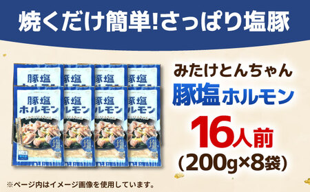 岐阜県産豚もつの鉄板焼き「元祖みたけとんちゃん」豚塩味（16人前）[AVAA046]ホルモン 塩味
