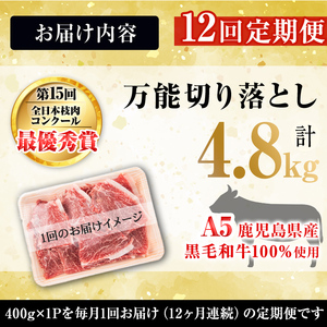 【定期便全12回】＜A4・A5等級＞黒毛和牛堪万能切り落とし肉 計4.8kg（400g×1P・全12回） 黒毛和牛 和牛 切り落とし 肉 牛肉 国産 九州産 鹿児島県産 すき焼き しゃぶしゃぶ 牛丼 小分け A5 日本一 ランキング 人気 定期便 t0144-001