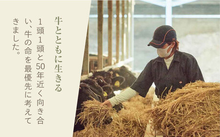 ビーフジャーキー 計450g（50g×9袋） / ビーフジャーキー [41ASAA298]