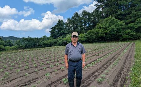 無農薬・無化学肥料　青森県産　生搾りえごま油（３本）青森県 三戸町 R0714