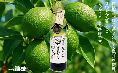 四国の絶品 老舗の手づくり 柑橘ぽん酢 食べ比べ 2種 200ml×2本 Dセット（ゆず・青レモン） 【一梅酢】 
