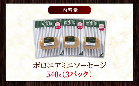 放牧豚 ボロニアミニソーセージ 計540g（180g×3） 豚肉 ソーセージ 無添加 無塩せき 北海道 [AXBA106]