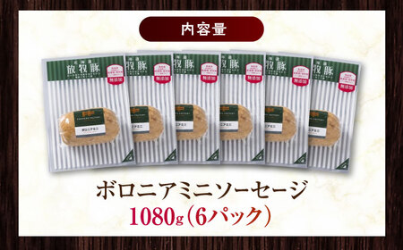 放牧豚 ボロニアミニソーセージ 計1，080g（180g×6） 豚肉 ソーセージ 無添加 無塩せき 北海道 [AXBA107]