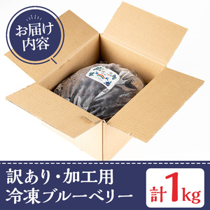 先行予約 訳あり 加工用 冷凍 ブルーベリー 1kg 果物 フルーツ ベリー【体験型観光農園さつまドリームファーム】_y528