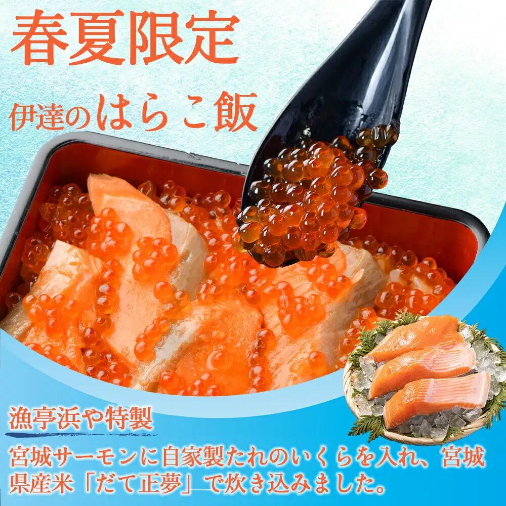 みやぎ飯【宮城さーもん】伊達のはらこ飯 3人前  鮭 腹子 いくら 郷土料理 漁亭 浜や 宮城県 名取市